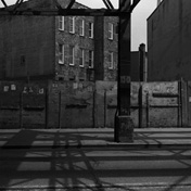 ny_landscape010