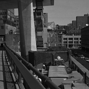 ny_landscape011