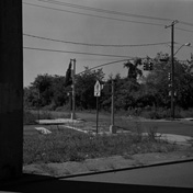 ny_landscape013